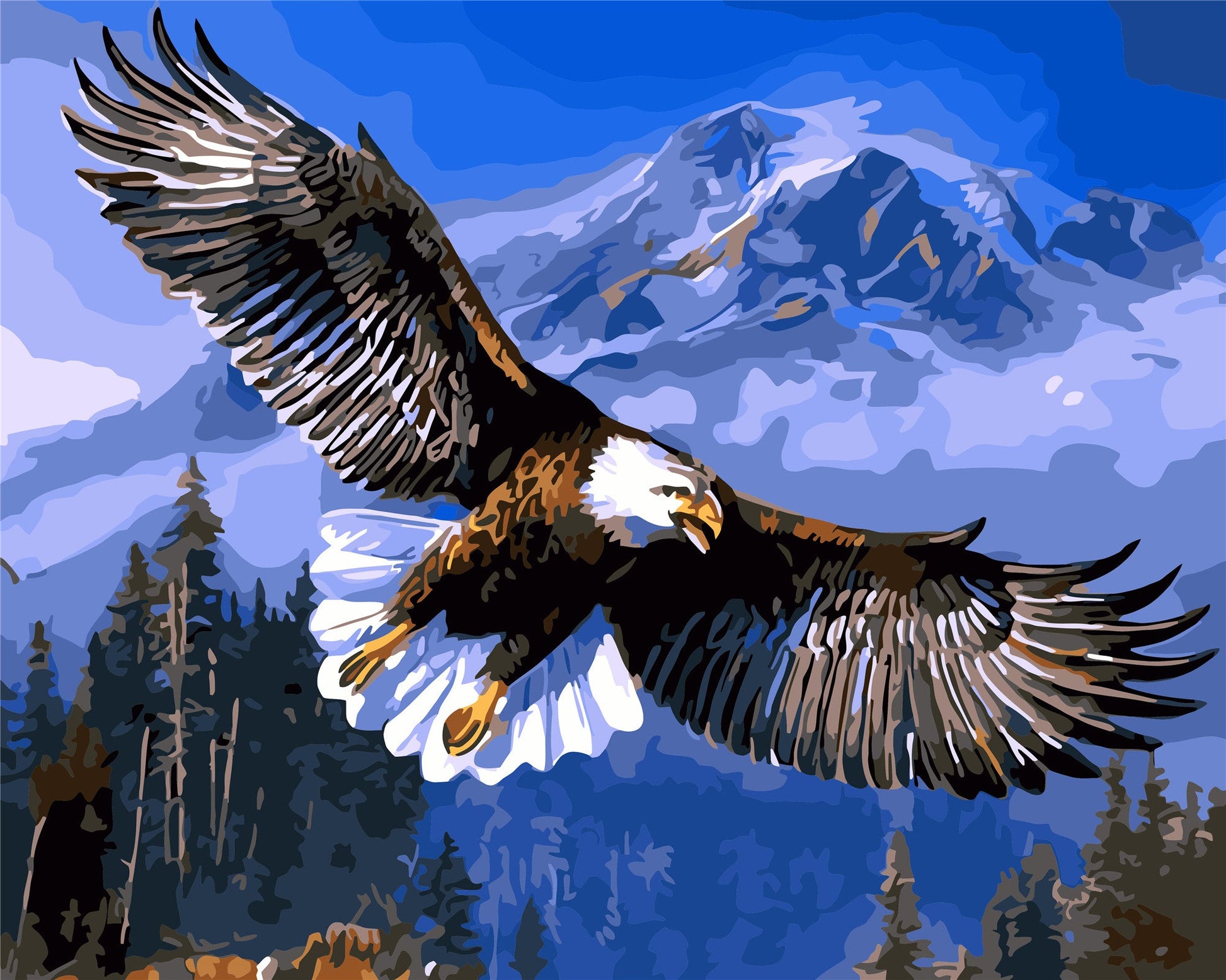 Bird Paint By Numbers Kits UK WH-A619