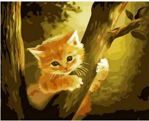 Cat Paint By Numbers Kits UK WH2019