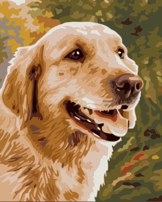 Cat & Dog Paint By Numbers Kits UK For Adult WM-407