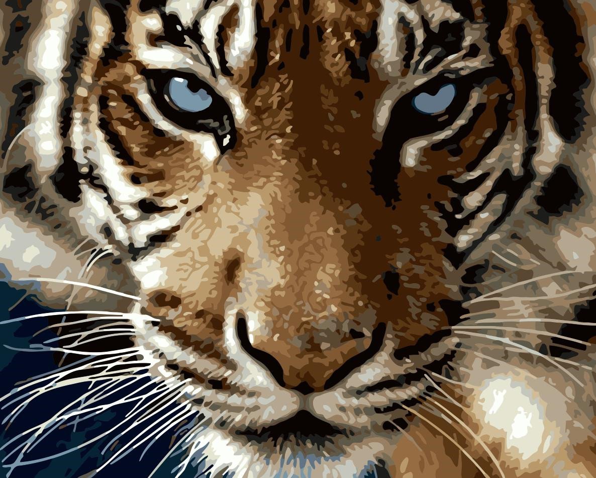 Animal Paint By Numbers Kits UK For Adult WM-879