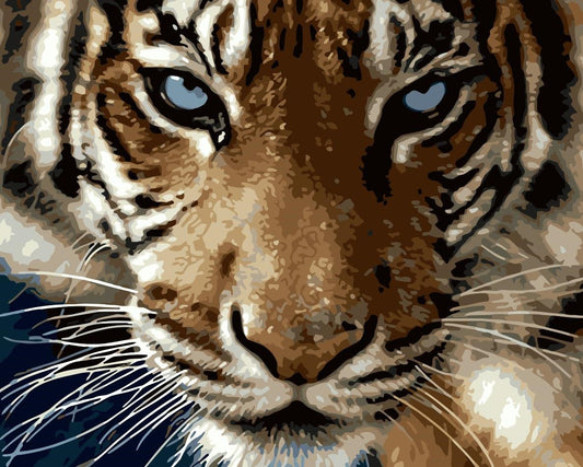 Animal Paint By Numbers Kits UK For Adult WM-879