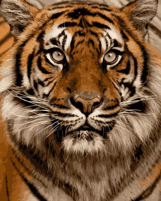 Animal Paint By Numbers Kits UK WM249