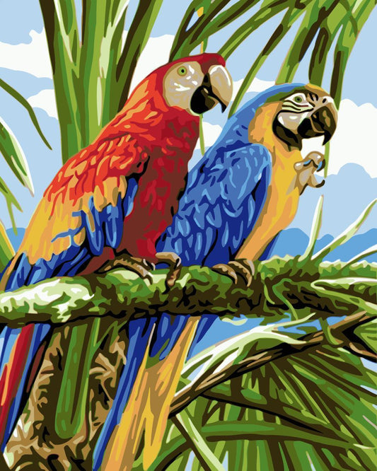 Bird Paint By Numbers Kits WM912
