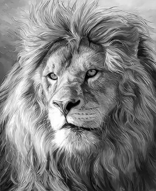 Animal Paint By Numbers Kits UK XQ3288
