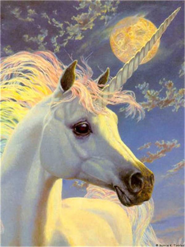 Animal Unicorn Paint By Numbers Kits UK For Adult Y5264