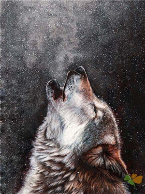 Animal Paint By Numbers Kits UK Y5581