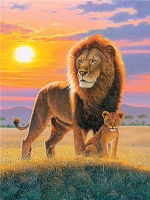 Animal Paint By Numbers Kits UK For Adult Y5663