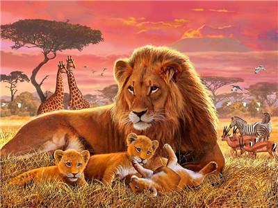 Animal Paint By Numbers Kits UK For Adult Y5674