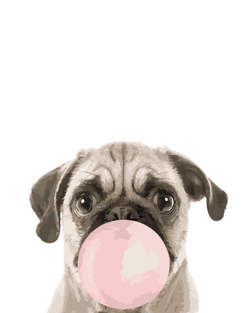 Animal Paint By Numbers Kits UK YM214