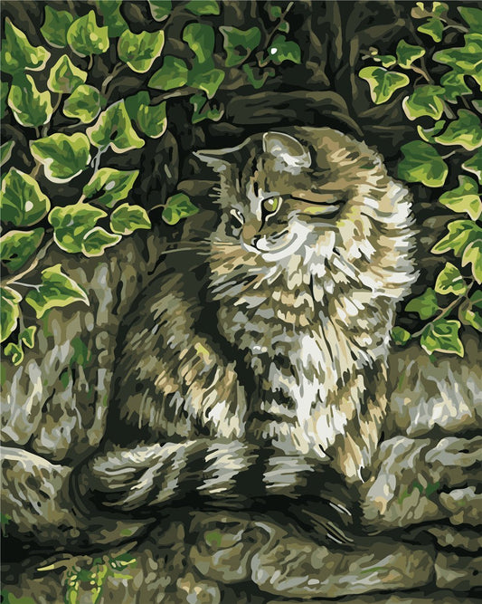 Cat & Dog Paint By Numbers Kits UK ZC3041