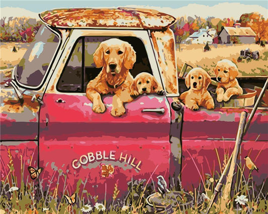 Cat & Dog Paint By Numbers Kits UK ZC3083