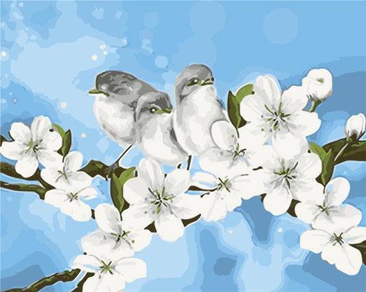 Bird Paint By Numbers Kits UK ZC3111