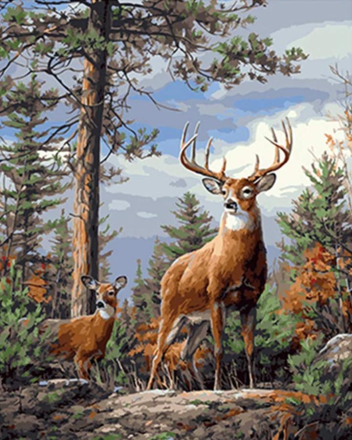 Animal Paint By Numbers Kits UK For Adult vm00096