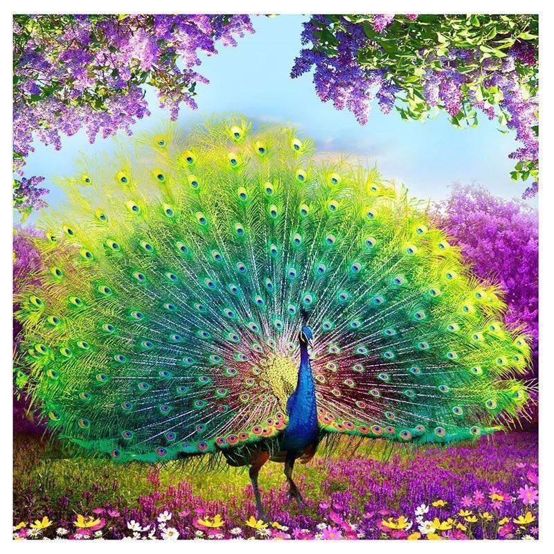 Bird Paint By Numbers Kits UK For Adult vm30013