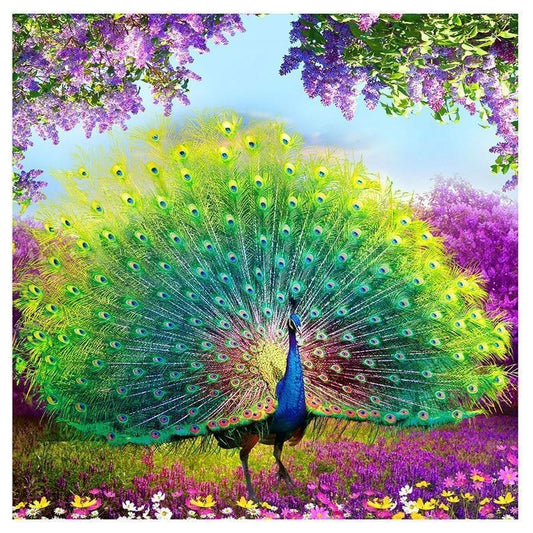 Bird Paint By Numbers Kits UK For Adult vm30013