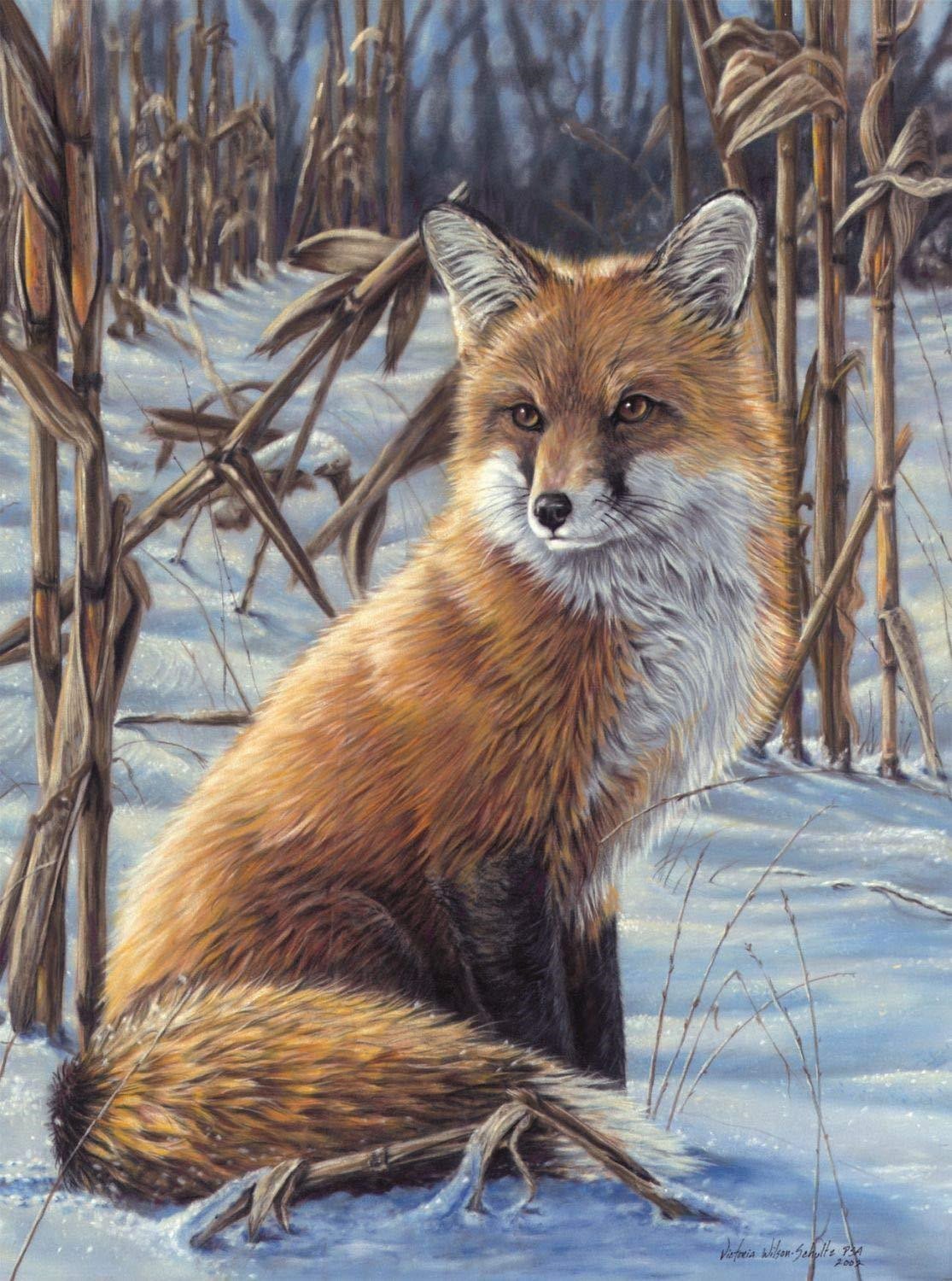 Animal Paint By Numbers Kits UK For Adult vm95827